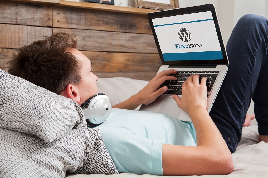 WordPress Website Owner Updates Plugins